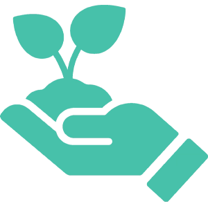 Local Tree Planting Campaign